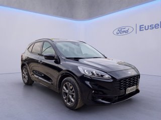 FORD Kuga 1.5 EcoBlue 120 CV aut. 2WD ST-Line